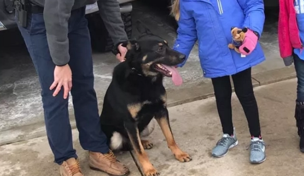 门口来了40多只警犬，还有许多警察，为了一个“女孩”而来