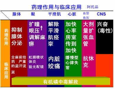 呼吸衰竭常见的护理措施_呼吸衰竭的护理原则_2型呼吸衰竭护理