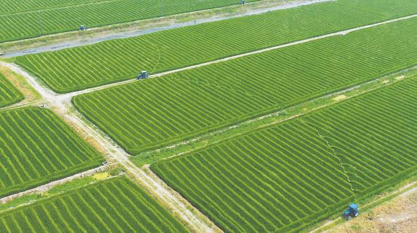 上海蓝十字脑科医院院长_上海蓝十字脑科是三甲_上海蓝十字脑科医院