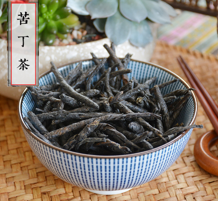 苦丁茶