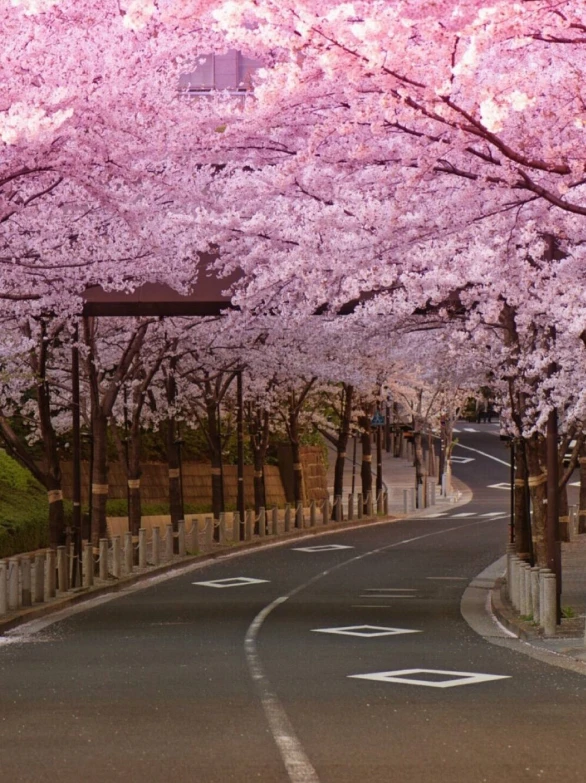 道路测试的意义是_道路测试包括哪些内容_道路测试的意义