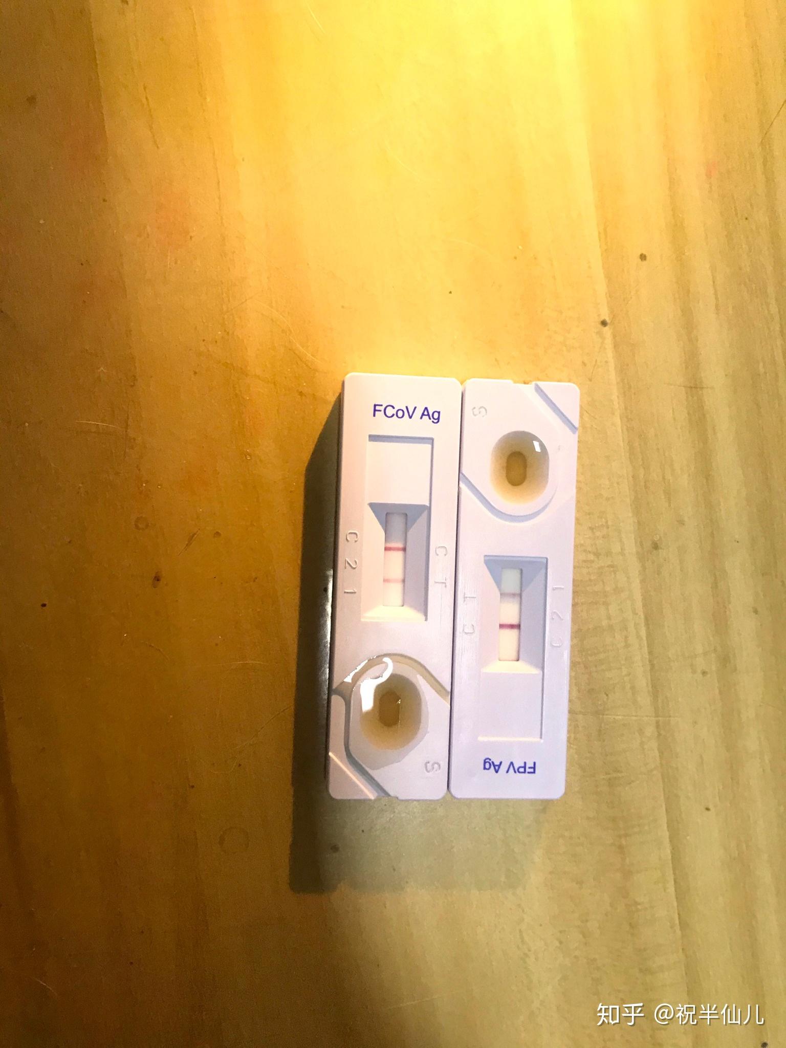 克罗恩病治疗多少钱_罗克罗恩病_罗克恩病能治好吗