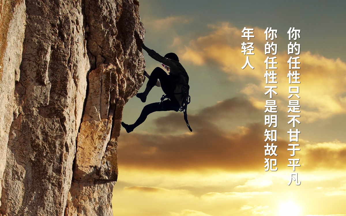 安装数据恢复向导_安装向导可以删除吗_强大的安卓恢复向导