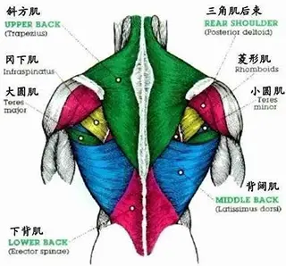 后背痛吸气也痛_后背疼吸气回事是什么病_吸气后背疼是怎么回事