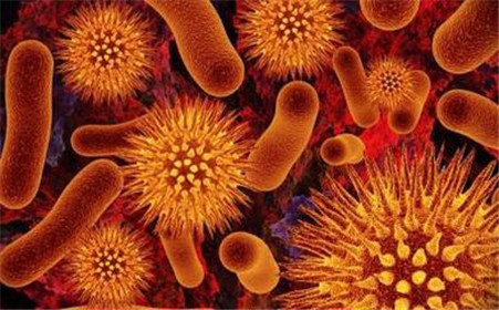 课罗恩病_罗克罗恩病的特征性体征_克罗恩病的六大标准