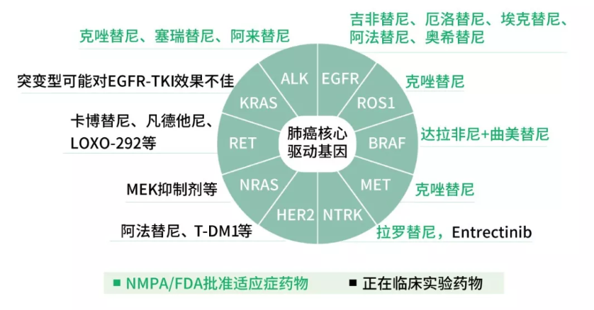 克罗恩病遗传吗_克罗恩是遗传病吗_克罗恩病基因