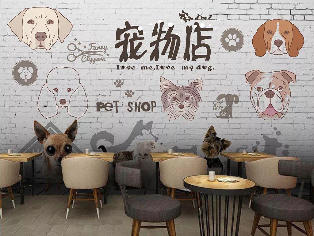 汉思宠物店管理系统 价格_汉街宠物店_汉思宠物医院