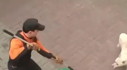 走丢的狗狗不愿与人接触，当看到主人找到它，接下来一幕太感人了