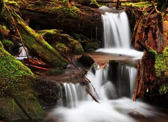 主角林风系统小说_雨林风xp系统下载_木雨林风xp系统好用吗?