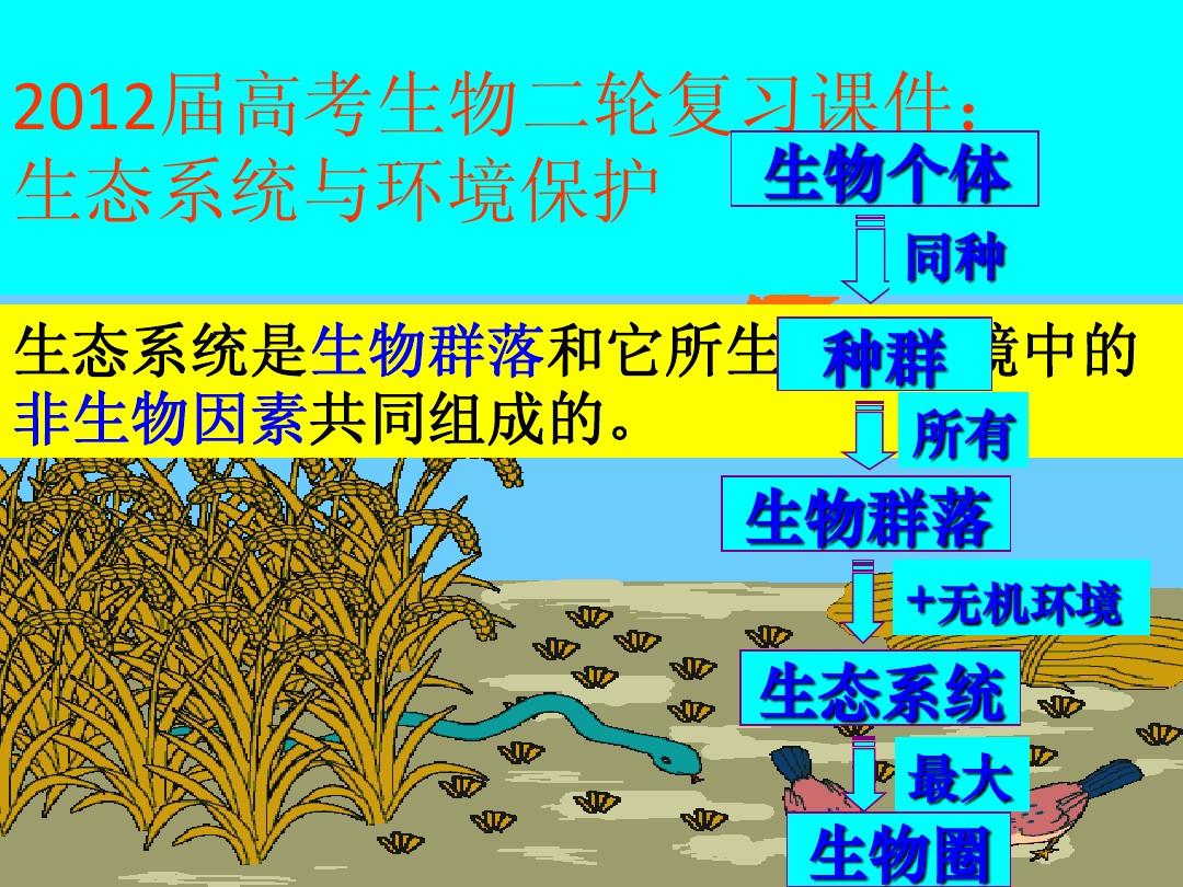 ecosystem是什么意思_意思是谁发现的_意思是什么