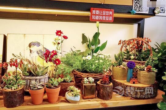 花草间创意花草工作室装修效果图