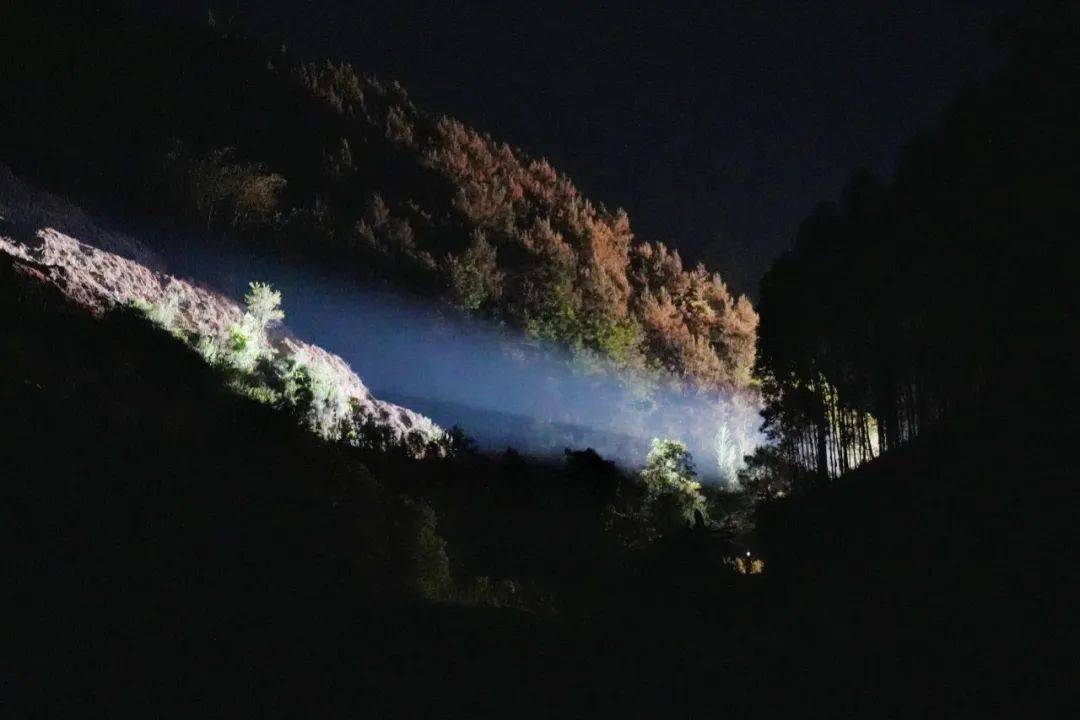 用身份证查询手机号_身证号码查手机号_身份证信息查询手机号