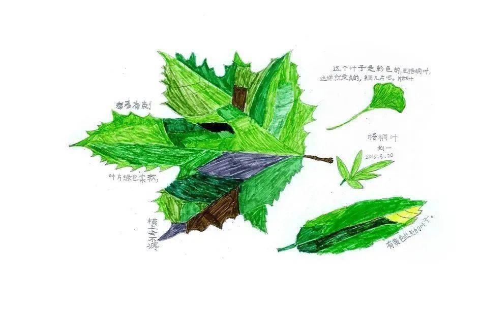 身份证号码带姓名_给我一个身份证号码带名字带地址_带有身份证号的证件