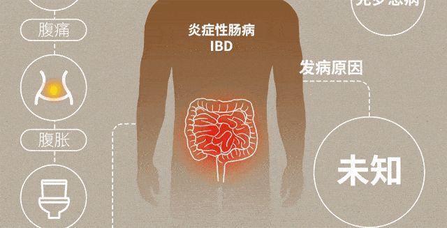 单克隆抗体病毒中和_呼吸道合胞病毒单克隆抗体_克隆免疫球蛋白igg阳性