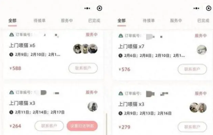 宠托师火了！春节上门“带薪撸猫”有人日入过千