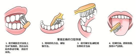 北京朝阳口腔医院地址_北京朝阳医院口腔科_北京朝阳医院口腔科专家团队
