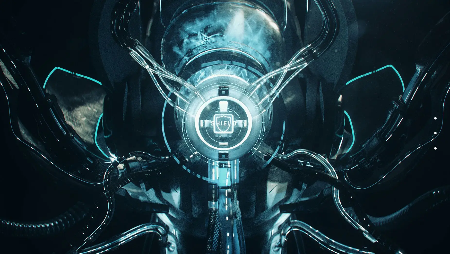 nuke在nga什么意思_nga的ccq是什么意思_nga里nuke是什么意思