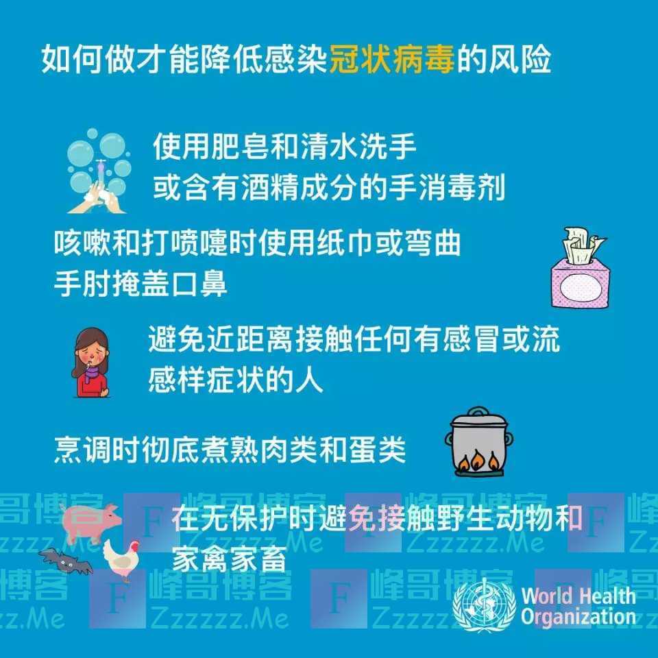 文件型病毒分为_病毒型文件分为哪两类_文件病毒主要类型