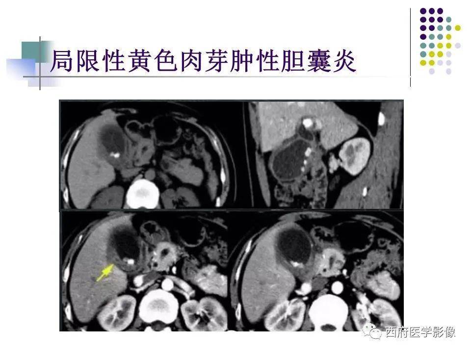 出生医学证明尺寸大小_出生医学证明大小尺寸多少厘米_2021年出生医学证明尺寸
