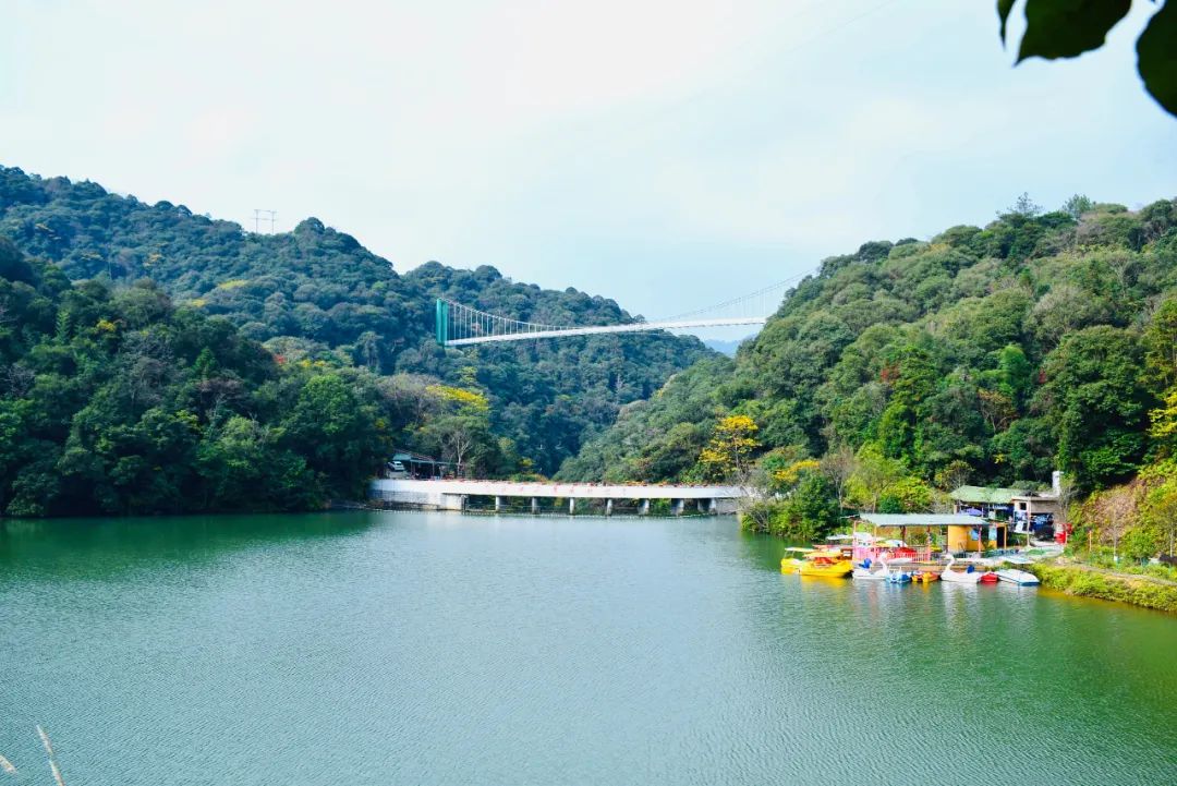 今年首次！福州主城区突破40℃！快来这些宝藏避暑地打卡