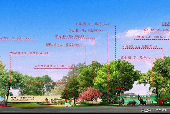 市政道路方案施工设计图_市政道路施工设计方案_市政道路方案设计内容