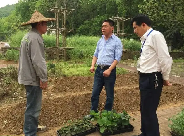 高等农林院校教育教学改革实践与探索_高等农林教育十三五规划_高等农林院校教育教学改革实践与探索