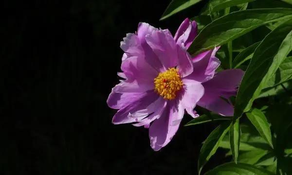 18岁以上有效身份证号_有效身份证件有效日期_身份证有效是什么意思