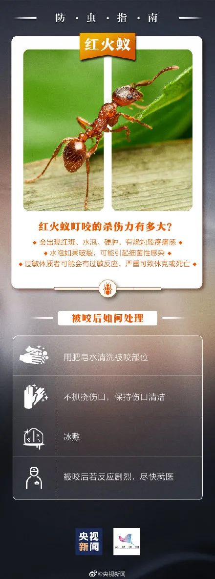 已出现，别碰！福建3岁男孩险丧命