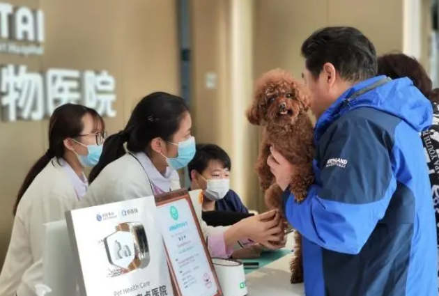 宠物诊疗纠纷一键处理，全省首个“云监管平台”上线