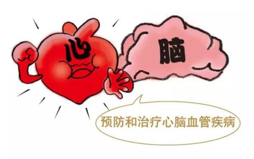 心脑血管疾病 心脑血管疾病