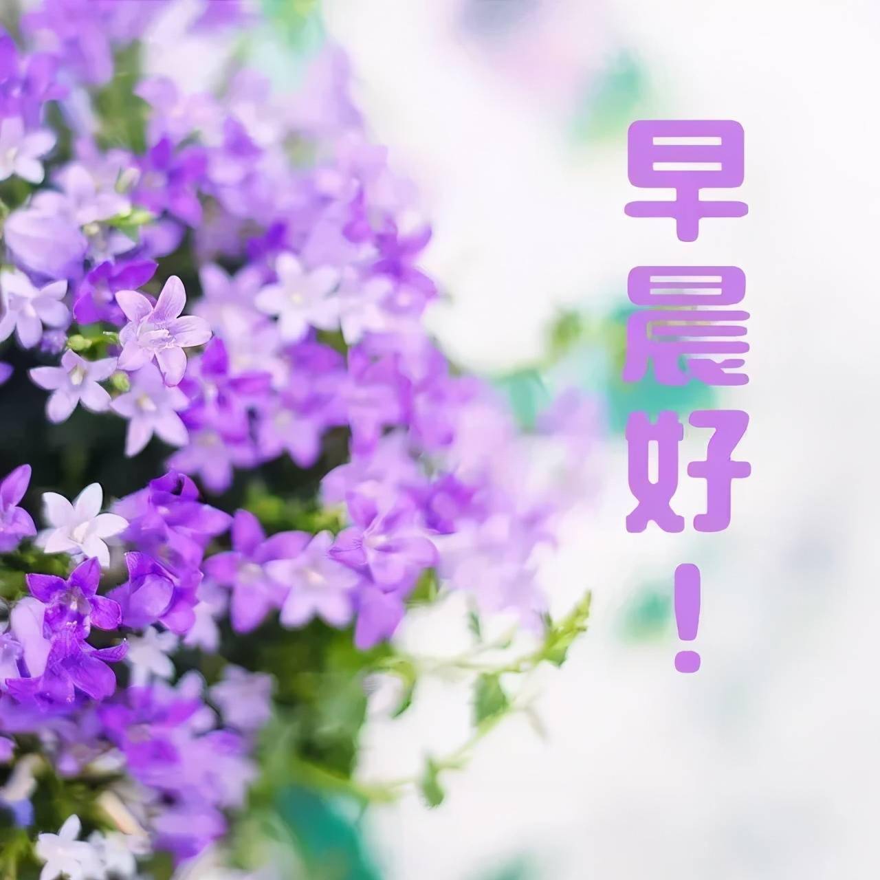 怎样破解ex4时间限制_破解ex4使用时间限制_如何破解时间限制