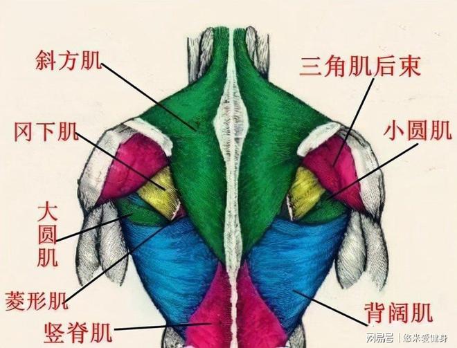 吸气时背部疼痛的原因_背痛吸气痛_背疼吸气就疼怎么回事