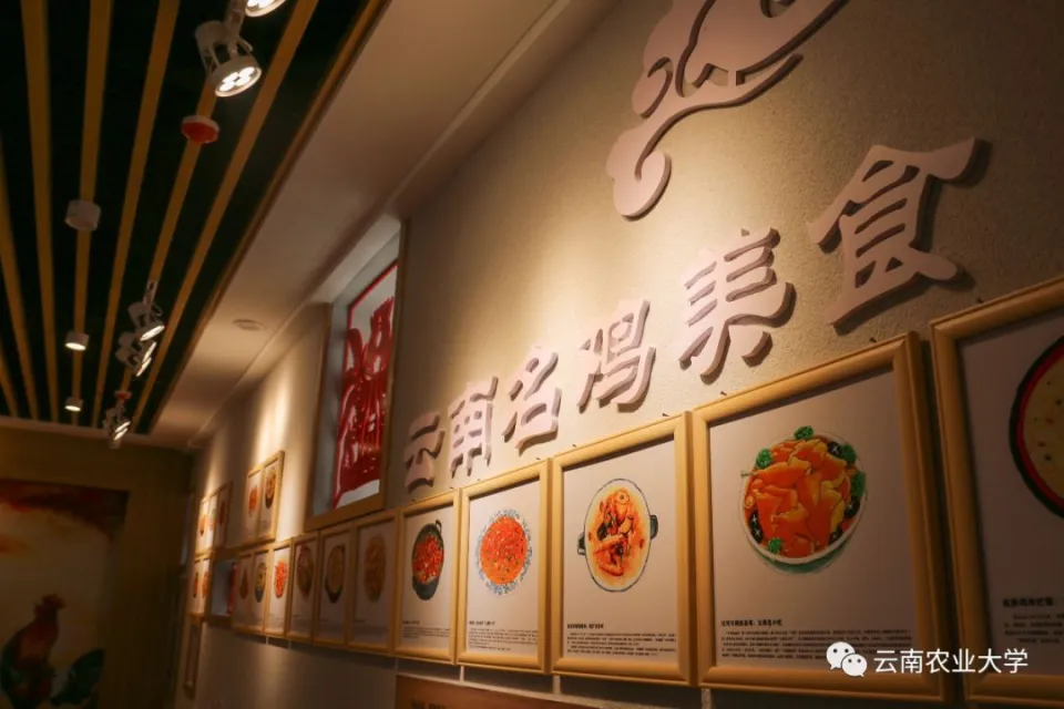 应用商店下载安装到桌面_应用商店下载旧版本_windows81应用商店下载