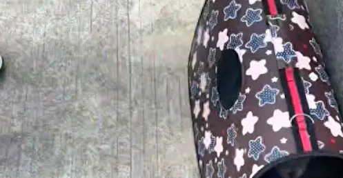 小狗被遗弃在了厂门口，对人们没有丝毫戒备心，还露肚皮让人抚摸