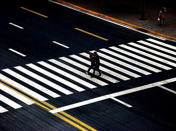 路口导向线是什么标线_交通标志路口导向线_路口导向线标志
