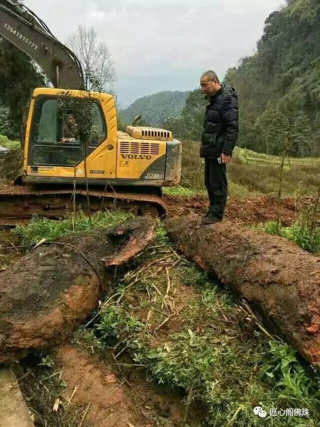 冠心病护理评估表样本_样本评估护理冠心病表格模板_冠心病评估量表