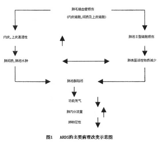 呼吸定义分类衰竭的标准_呼吸衰竭定义及分类_什么是呼吸衰竭分型
