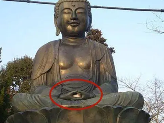 远远看到佛像手里有东西，走近一看笑喷，这猫有佛缘