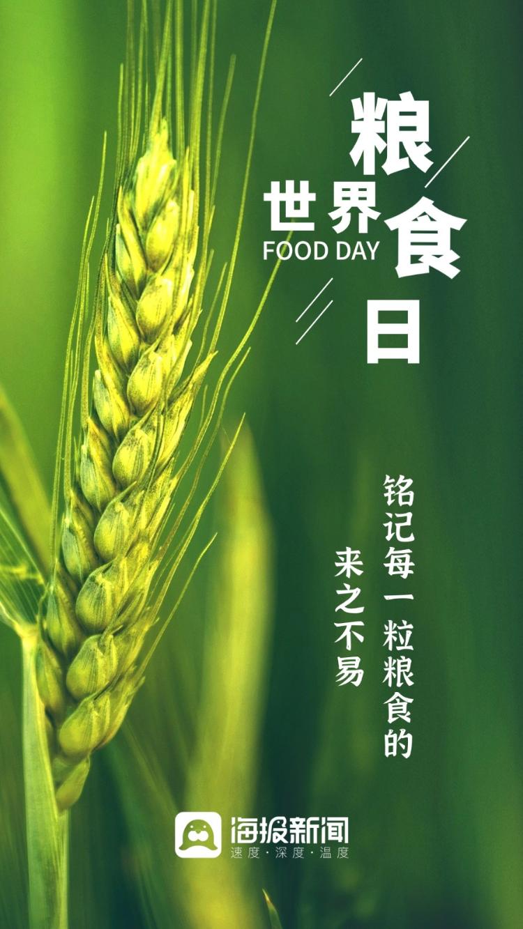 英语证件号码查询_身份证查英语四级准考证_英语成绩查询的证件号码是什么