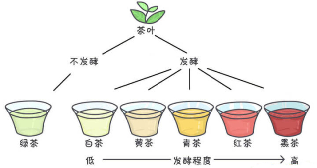 绿茶清新VS红茶醇厚：谁才是你心中的茶叶王者？