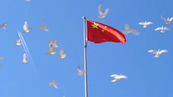 飞翔下载官网_飞翔下载安卓官方版_飞翔下载安装