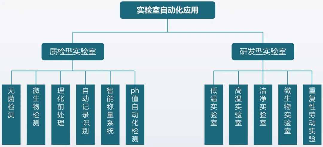 lims公司_公司里面监事算老几_公司领导比老公厉害太多