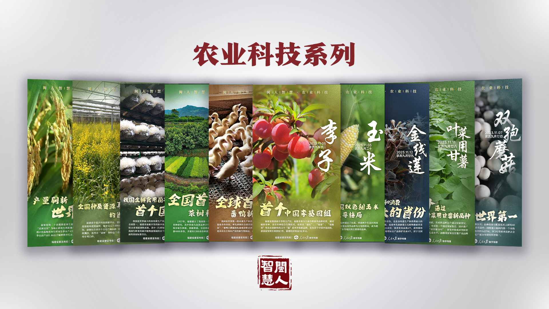 《闽人智慧日签》栏目两周年 | 九个关键词带你划重点！