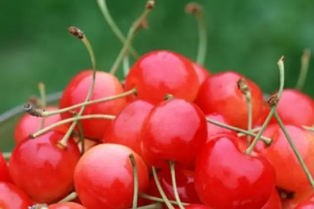 胃病能吃什么水果蔬菜_蔬菜能水果胃病吃吗_那些蔬菜水果对胃好