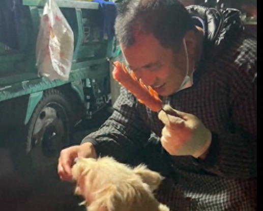 流浪狗离开了，最好见投喂过它的老板最后一面