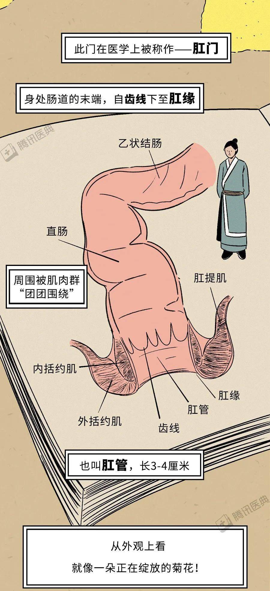 男友插肛门 大便失禁_大便失禁肛门袋_大便失禁肛门疼