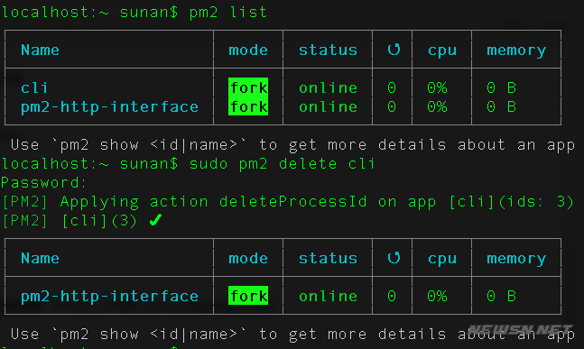 pm2 ecosystem_pm2 ecosystem_pm2 ecosystem