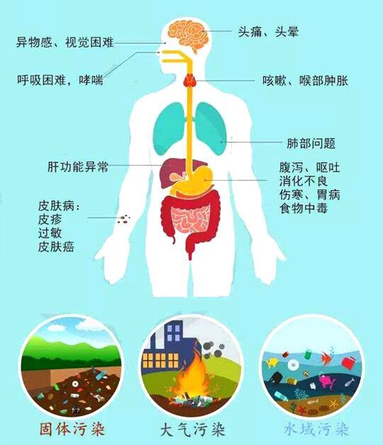 肺炎克雷白杆菌_肺炎克雷白杆菌的典型临床表现_肺炎克雷白杆菌是