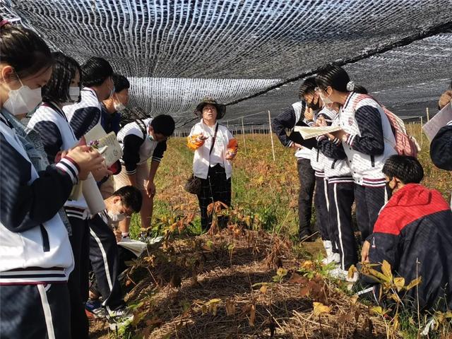 高等农林教育十三五规划_高等农林院校教育教学改革实践与探索_高等农林院校教育教学改革实践与探索