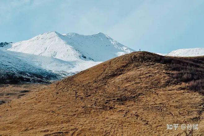 知乎的政治立场_身份政治 知乎_政治知乎